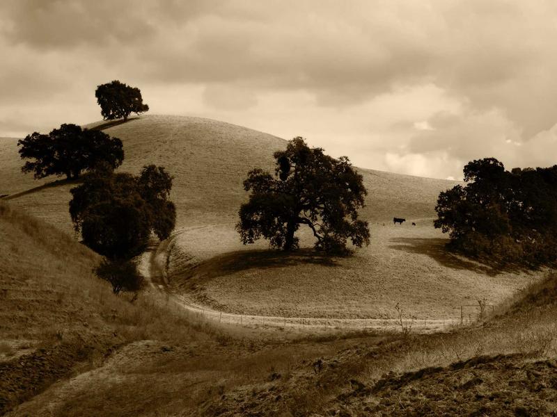 sudoku printable screenshot 5