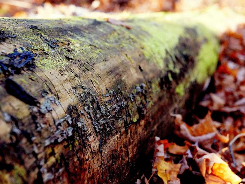 sudoku strategies screenshot 6